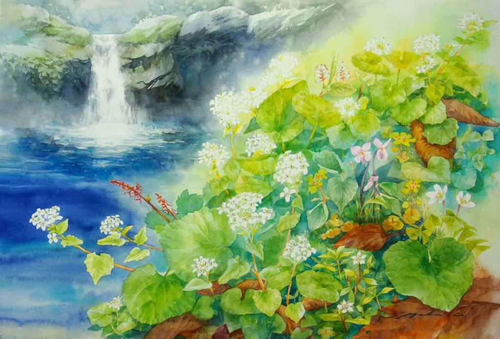 「雪融の詩‐芦生の森」 56×38cm 水彩絵具