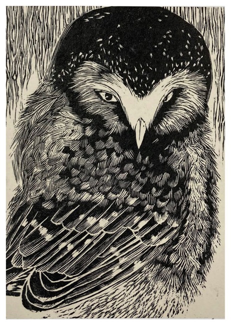 Anne Goesel　〈Owl〉　木口木版　145×100mm

