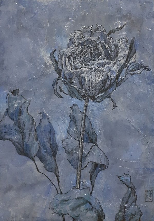 金子洋平　　　

「Dry Flower,Rose」　

SM