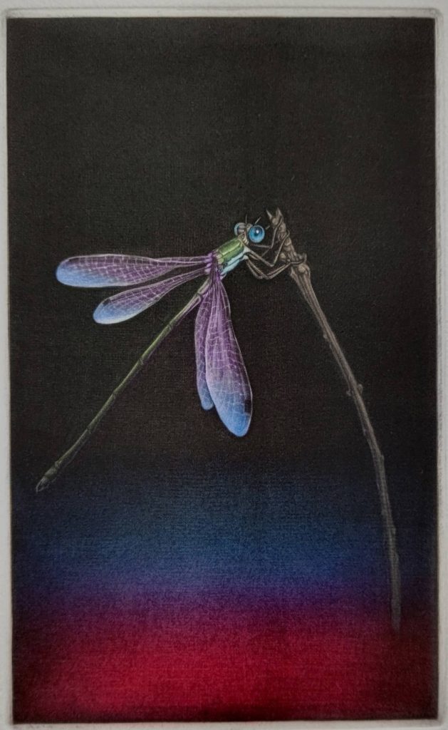 「蜻蛉」　
（銅版画[カラーメゾチント]、21×13cm）