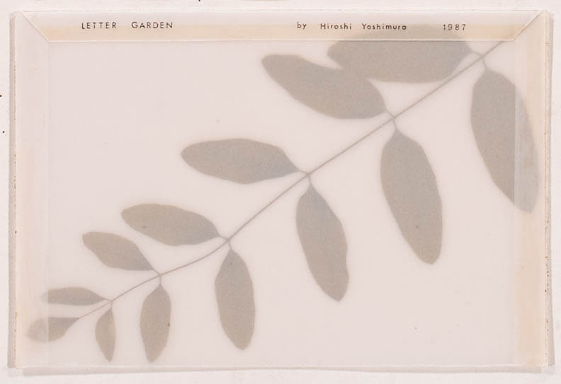 吉村弘《LETTER GARDEN(2)》1987年　植物、紙　神奈川県立近代美術館蔵　撮影：久保良

