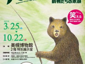 「カメラは見た！動物たちの素顔」美幌博物館