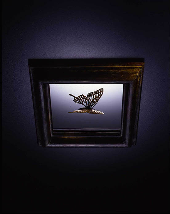 《Butterfly in the frame(Type-A)》(2004年)　Photography by KATSURA ENDO