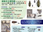 「北海道のオサムシ～松本堅一コレクション展～」釧路市立博物館