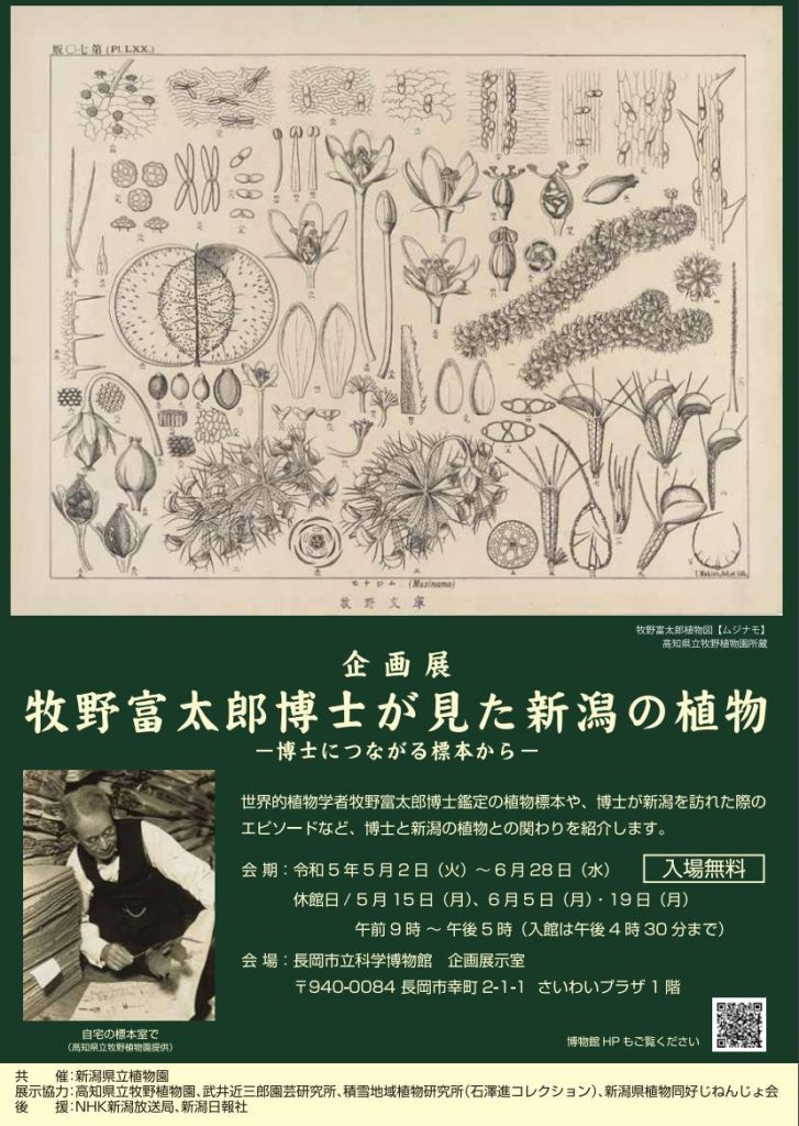 「牧野富太郎博士が見た新潟の植物 - 博士につながる標本から - 」長岡市立科学博物館
