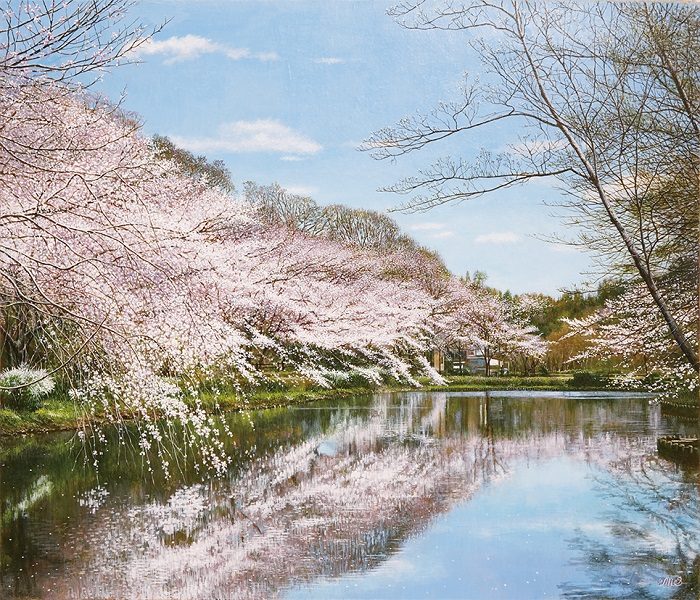 杉浦幹男【池畔の桜】油彩、F10号