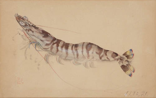 堂本印象「海老」1936年（昭和11年）京都府立堂本印象美術館蔵

