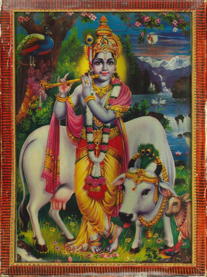 大衆宗教画：牛飼いクリシュナ神 インド　ウッタル・プラデーシュ州ワーラーナシー　20世紀後半

