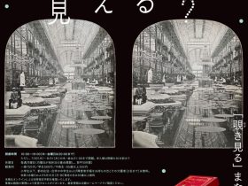 「TOPコレクション 何が見える？ 『覗き見る』まなざしの系譜」東京都写真美術館