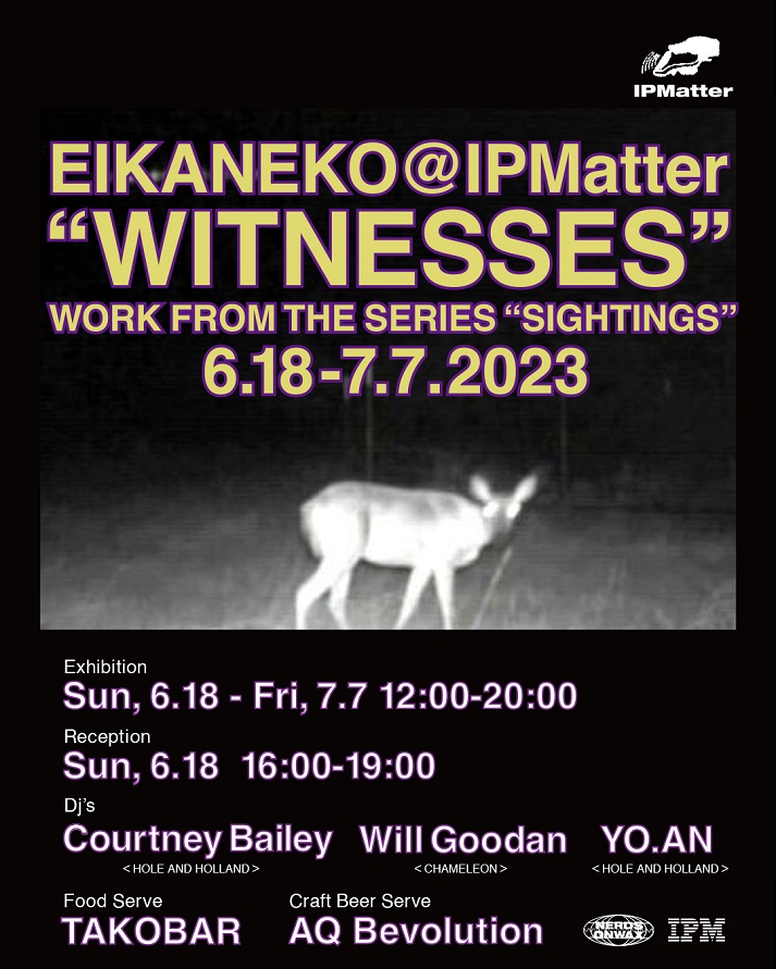 金子英 「”WITNESSES" WORKS FROM THE SERIES "SIGHTINGS"」IPMatter