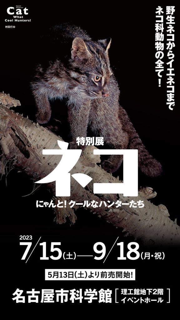 特別展「ネコ」～にゃんと！クールなハンターたち～」名古屋市科学館