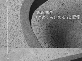 飯島祐奈 「『このくらいの石』と記憶」いりや画廊