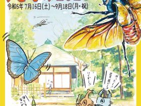 企画展「昆虫展inすぎなみ2023」杉並区立郷土博物館