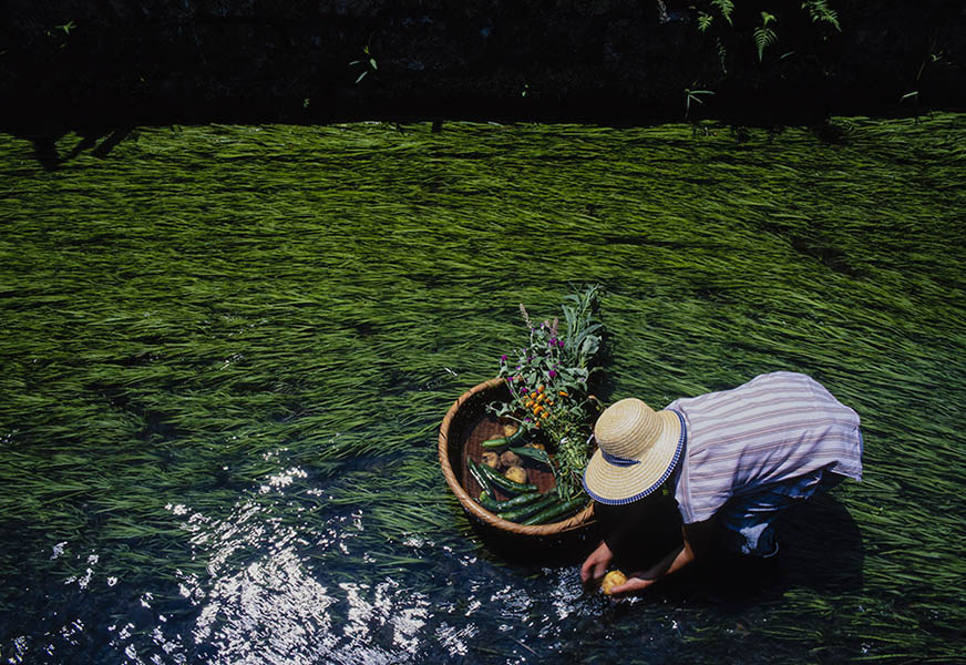 今森光彦《野菜を洗う人》1999年
©Mitsuhiko Imamori