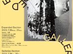 「ART OSAKA 2023 Galleries セクション」大阪市中央公会堂