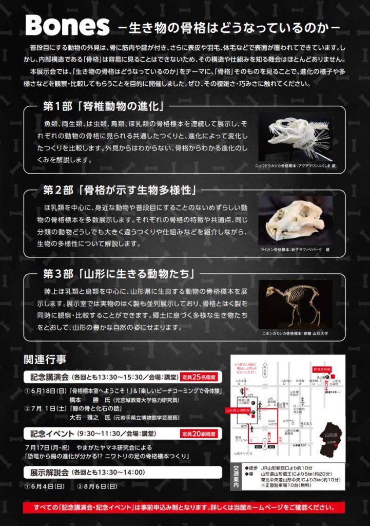 「Bones - 生き物の骨格はどうなっているのか - 」山形県立博物館