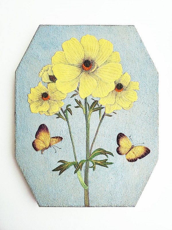 「ラナンキュラスと蝶々」

岩絵具、金泥

19 × 15 cm