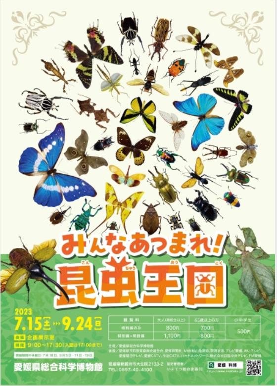 特別展「みんなあつまれ！昆虫王国」 愛媛県総合科学博物館 | 愛媛県