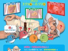 第44回夏休み塩の学習室「なにしてる？からだの中の塩」たばこと塩の博物館