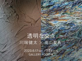 川端健太 + 高山夏希 「透明な交点」GALLERY ROOM・A