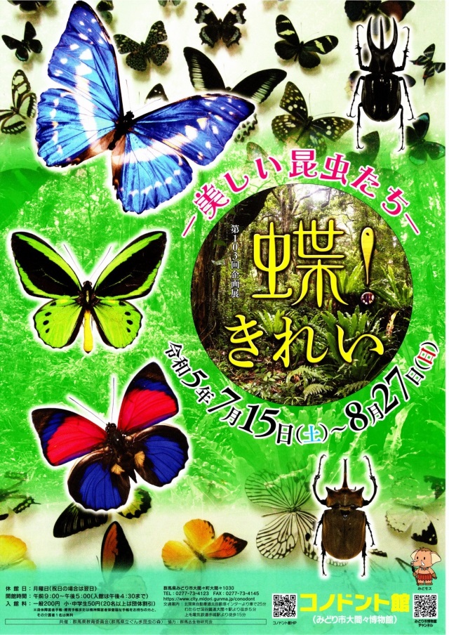 第103回企画展「蝶！きれい　ー美しい昆虫たちー」みどり市大間々博物館（コノドント館）