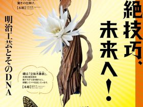 「超絶技巧、未来へ！明治工芸とそのDNA」三井記念美術館