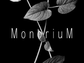 鈴木知之写真展「MonoriuM」ギャラリー イー・エム 西麻布