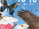 企画展「はねー飛ぶ羽・鳴く翅・すごいハネー」埼玉県立自然の博物館