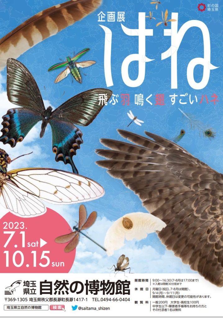 企画展「はねー飛ぶ羽・鳴く翅・すごいハネー」埼玉県立自然の博物館