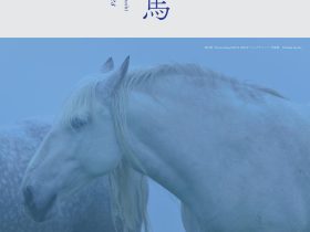 「神田日勝×岡田敦 幻の馬」神田日勝記念美術館