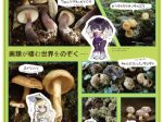 「かながわご当地菌類展」神奈川県立生命の星・地球博物館