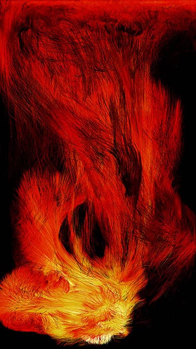 チームラボ《憑依する炎》©チームラボ
※後期展示

