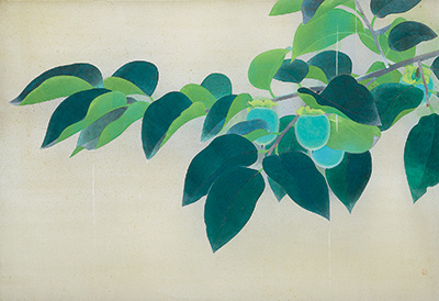 上村松篁「青柿」
昭和22年（1947）
第3回日展