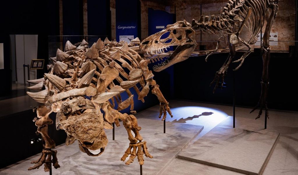 ズール（左）とゴルゴサウルス（右）の対峙シーンを再現した全身復元骨格（東京会場 撮影：山本倫子）


