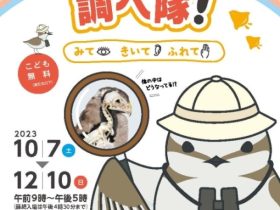 第35回企画展「鳥のひみつ調べ隊！　みて・きいて・ふれて」三重県総合博物館（MieMu）