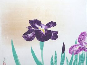 小倉 遊亀 「菖 蒲」 45×56.5cm