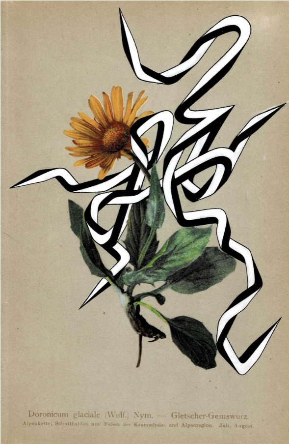 Enrico Isamu Oyama, FFIGURATI #567, 2023
Acrylic on found image

18.6 x 12.6 cm

Artwork ©︎Enrico Isamu Oyama Studio
