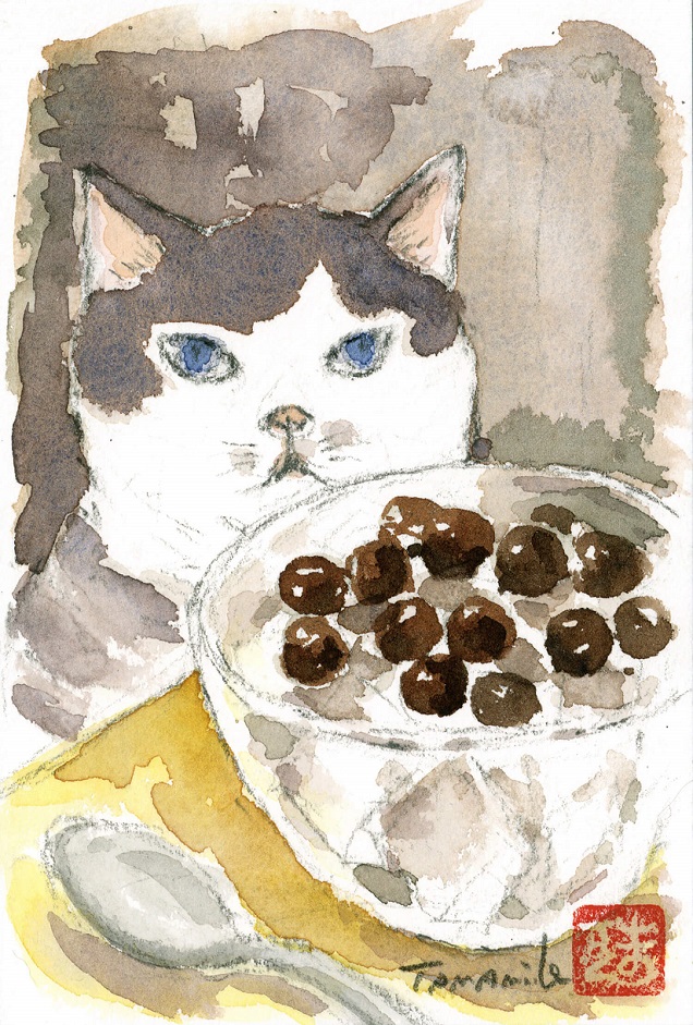 くまくら珠美<span>「猫と豆かん」</span><br>ポストカードサイズ 水彩画