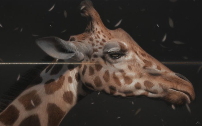 「Giraffe」

M10

ミクストメディア


キリン