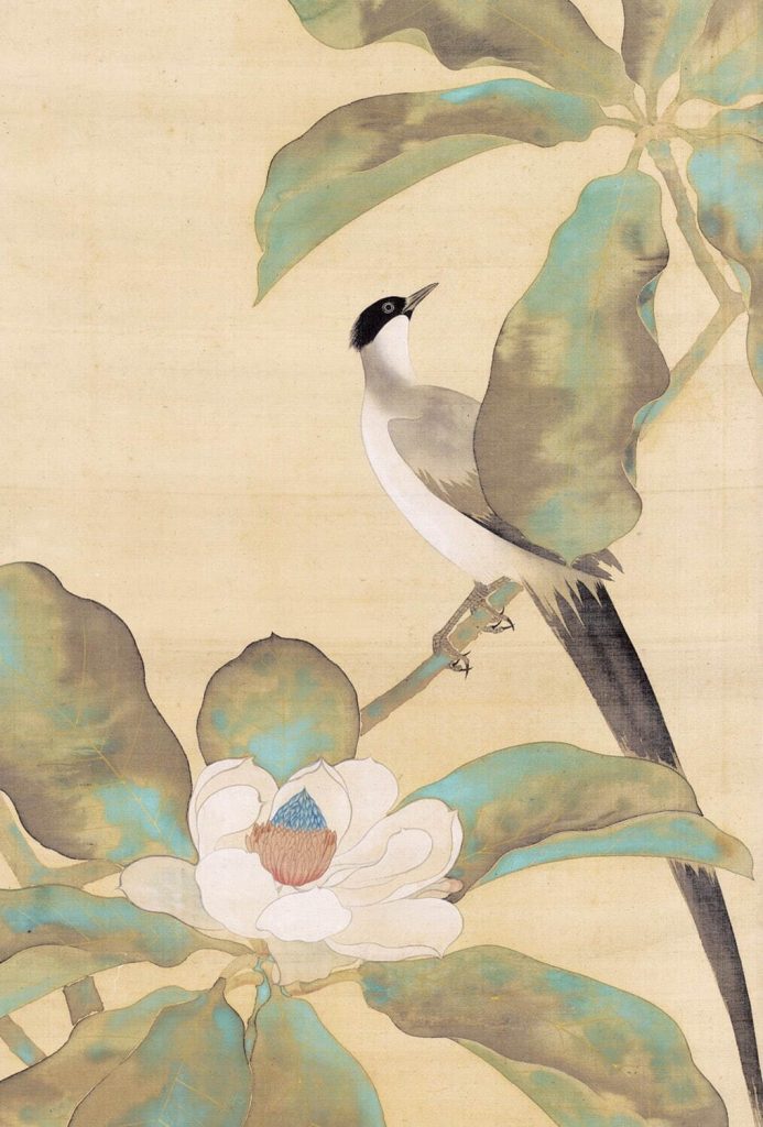 鈴木其一 《朴に尾⻑鳥図》(部分) 江戸時代後期 細見美術館蔵
