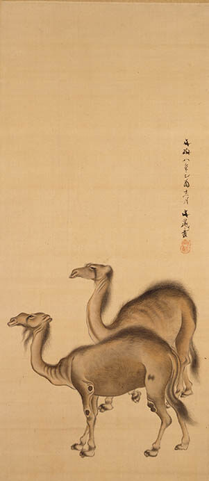 谷文晁　駱駝図　1825（文政8）年　絹本着色　一幅　98.0×42.0　摘水軒記念文化振興財団

