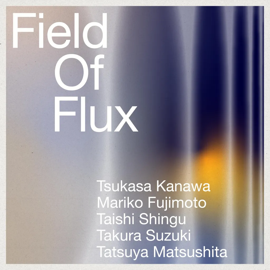 「Field of Flux」N project