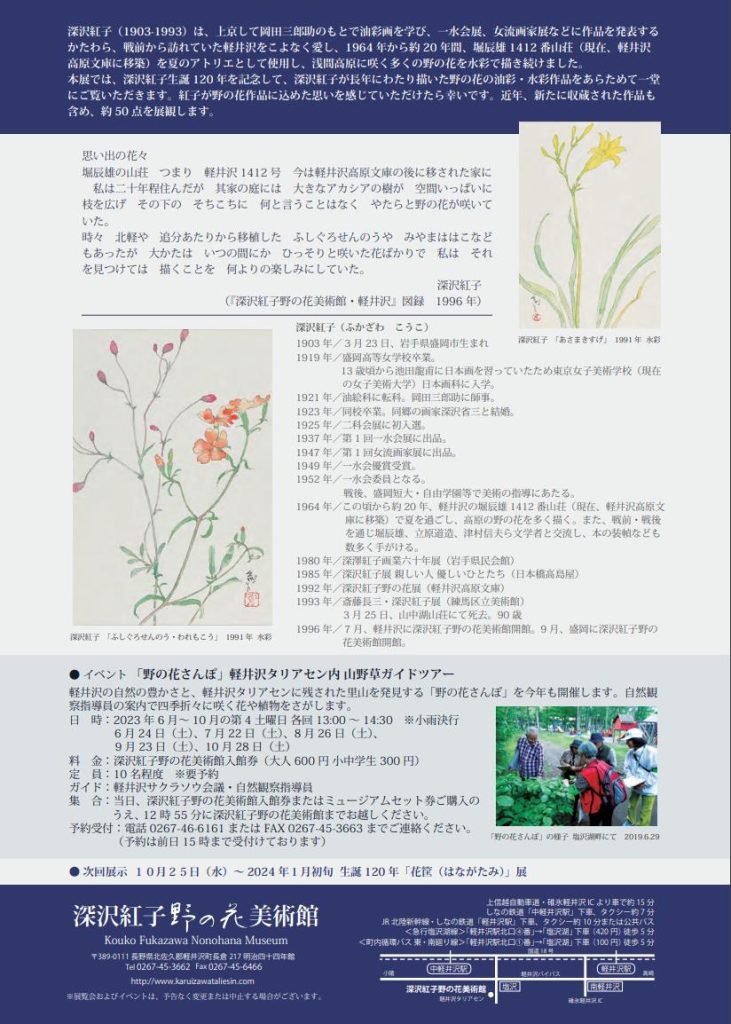 「深沢紅子生誕120年記念 深沢紅子 野の花によせて展」深沢紅子野の花美術館
