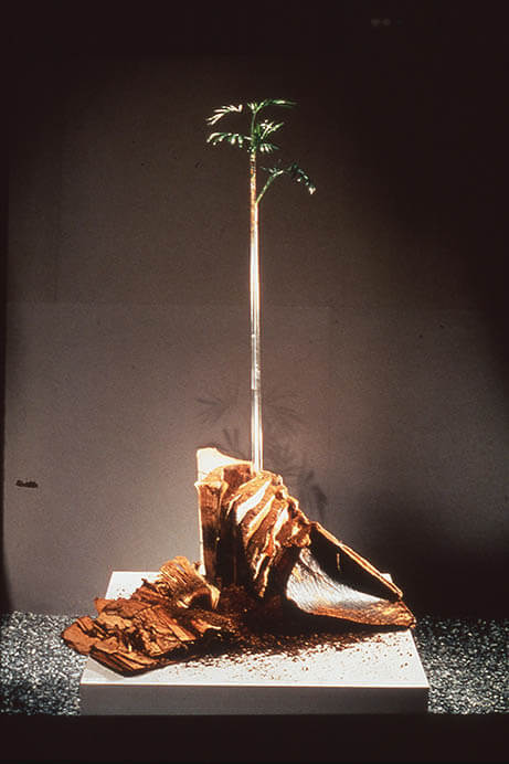 Jaeeun Choi | Circulation | 1984 | Palm trees, aged books, water, soil
Photo: Muto Shigeo

