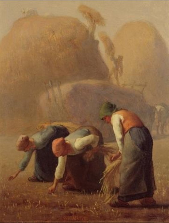 ジャン=フランソワ・ミレー《落ち穂拾い、夏》
1853年　油彩・麻布
