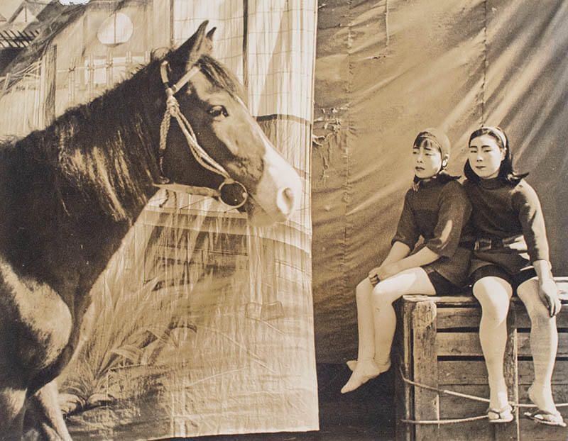 安井仲治《（馬と少女）》1940年、個人蔵（兵庫県立美術館寄託）