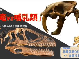 「恐竜vs哺乳類ー化石から読み解く進化の物語ー」ミュージアムパーク 茨城県自然博物館