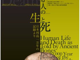 特別展示「骨が語る人の「生と死」　日本列島一万年の記録より」東京大学総合研究博物館　本郷本館