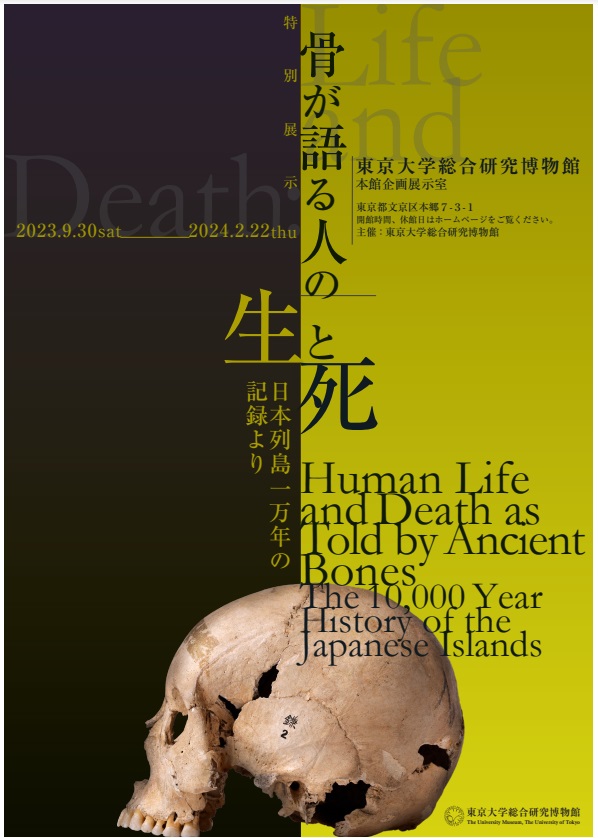 特別展示「骨が語る人の「生と死」　日本列島一万年の記録より」東京大学総合研究博物館　本郷本館