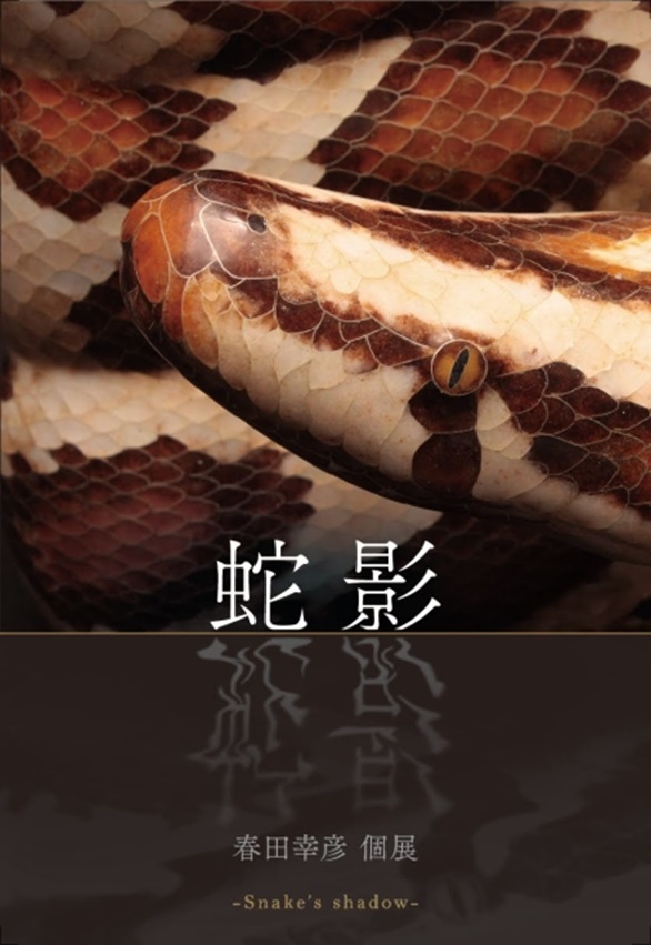 春田幸彦 「蛇影 -Snake’s shadow」ギャラリー・マルヒ